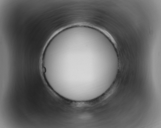 X0000099520903200805151030