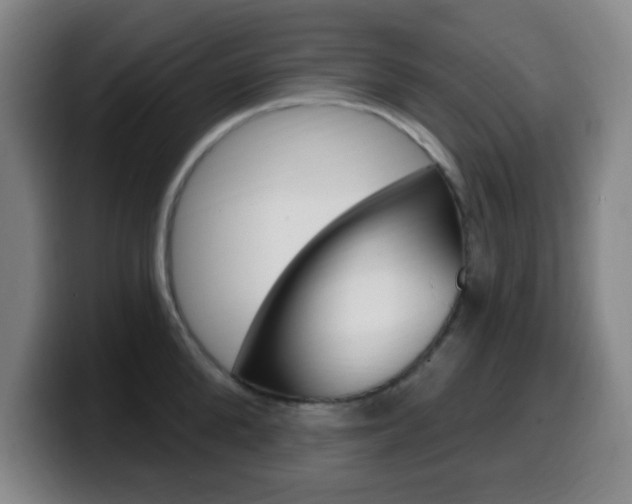 X0000099520904200805151030