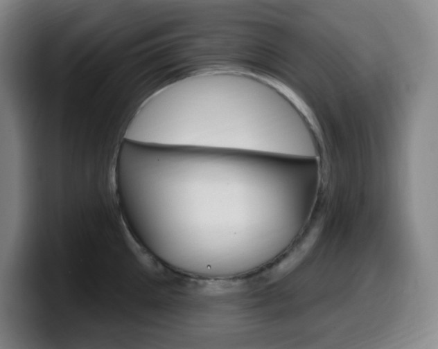 X0000099520905200805151030