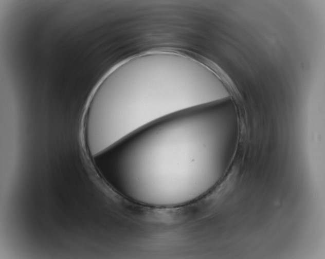 X0000099520908200805151030