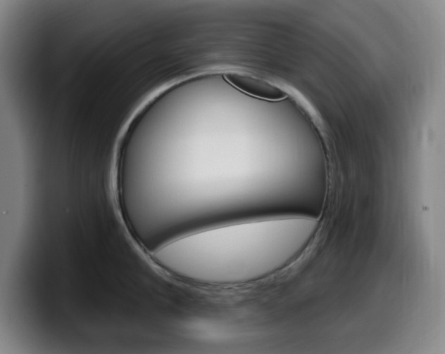 X0000099520910200805151030