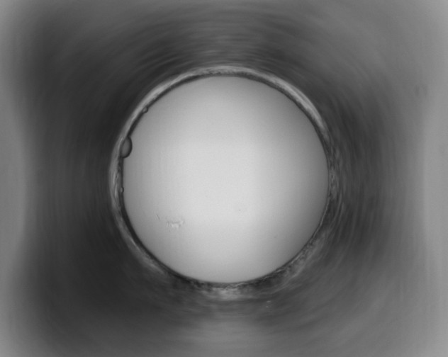 X0000099520911200805151030