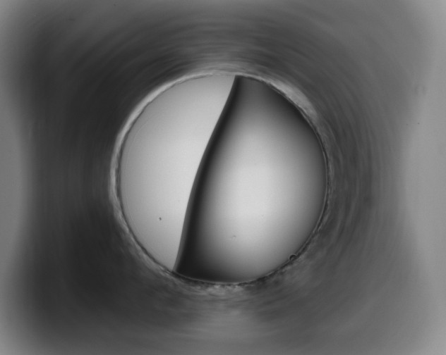 X0000099520912200805151030