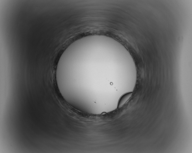 X0000099520914200805151029