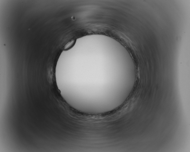 X0000099520915200805151029