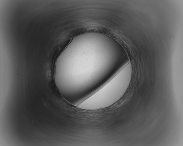X0000099520916200805151029