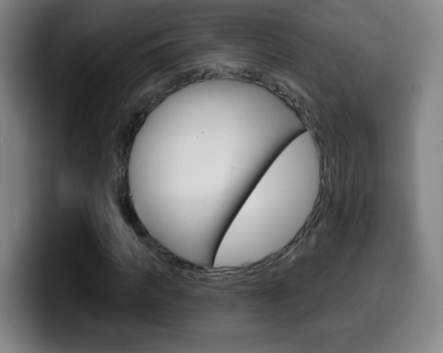 X0000099520917200805151029