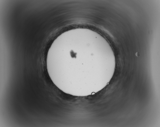 X0000099520918200805151029