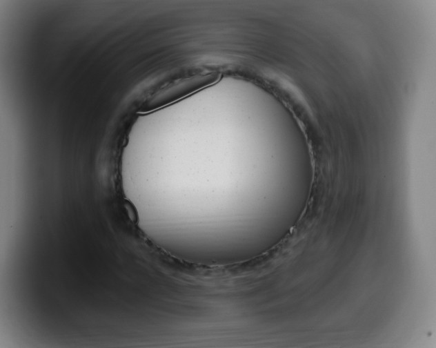 X0000099520920200805151029