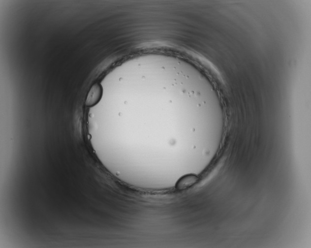 X0000099520921200805151029