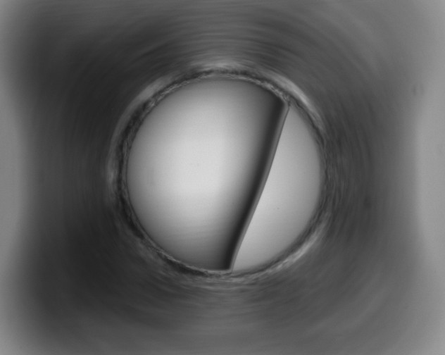 X0000099520922200805151029