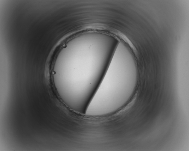 X0000099520923200805151029