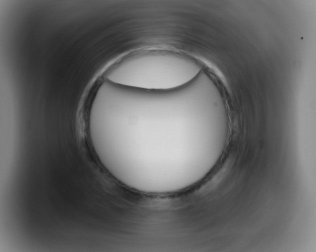 X0000099520925200805151029