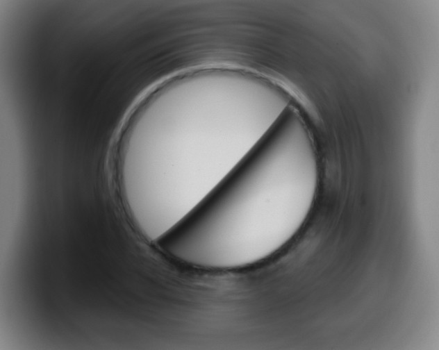 X0000099520926200805151029