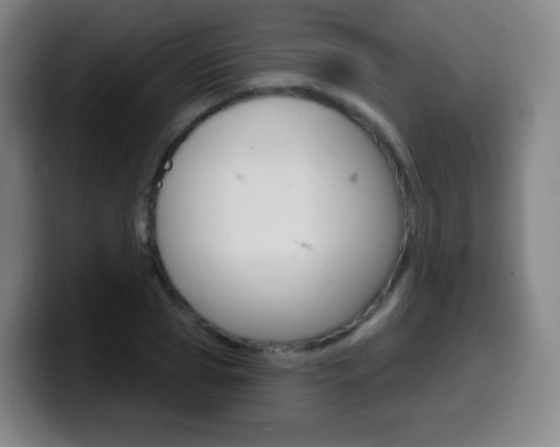 X0000099520929200805151029