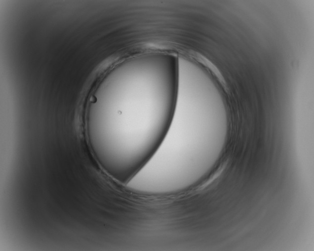 X0000099520930200805151029