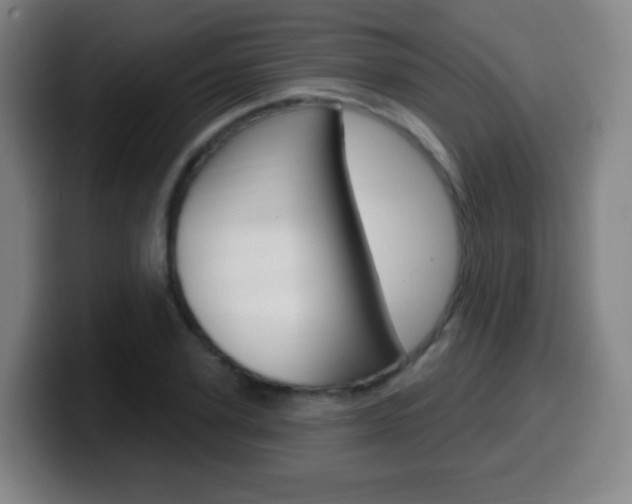 X0000099520931200805151029