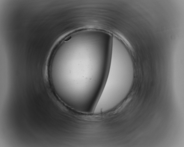 X0000099520932200805151029