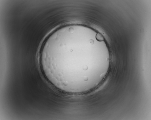 X0000099520933200805151029