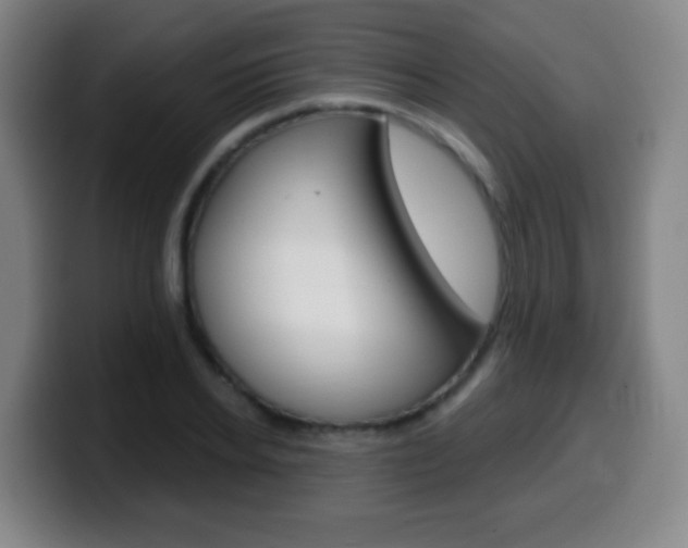 X0000099520934200805151029