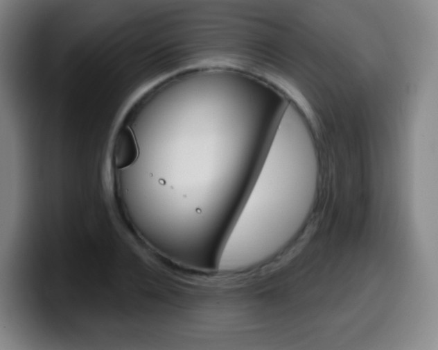 X0000099520936200805151029