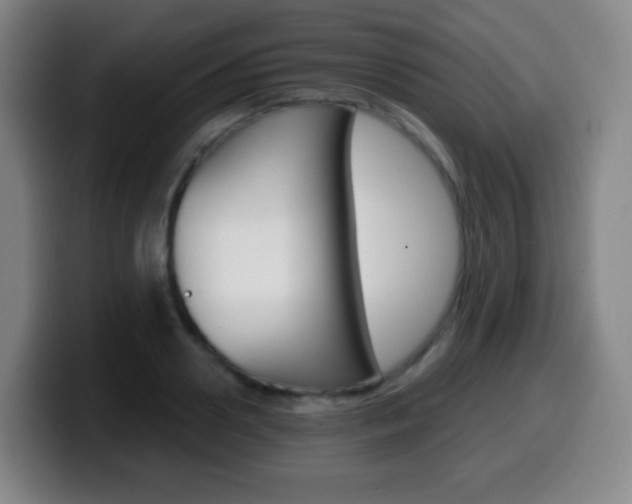 X0000099520938200805151029