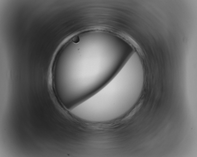 X0000099520940200805151029