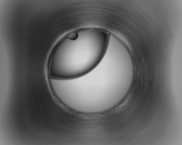 X0000099520942200805151029