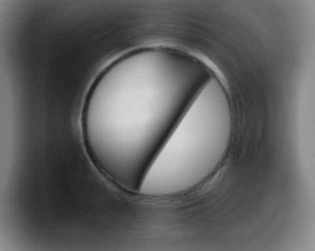 X0000099520943200805151029