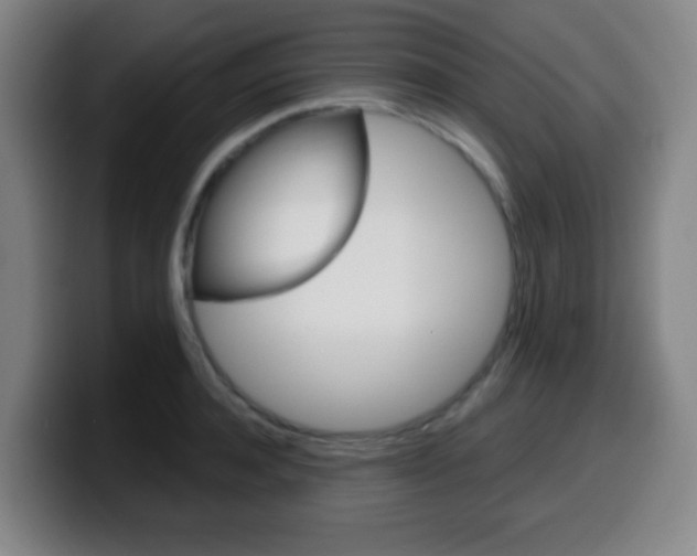 X0000099520944200805151029