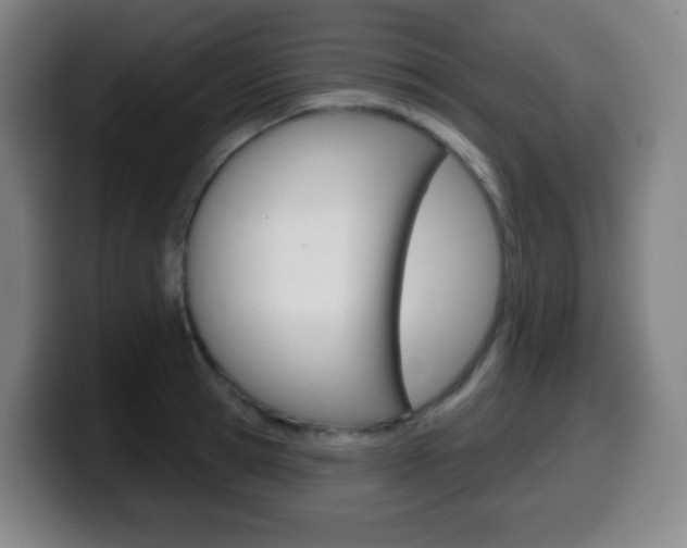 X0000099520945200805151029