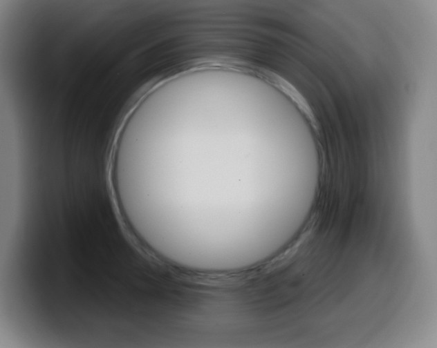 X0000099520946200805151029