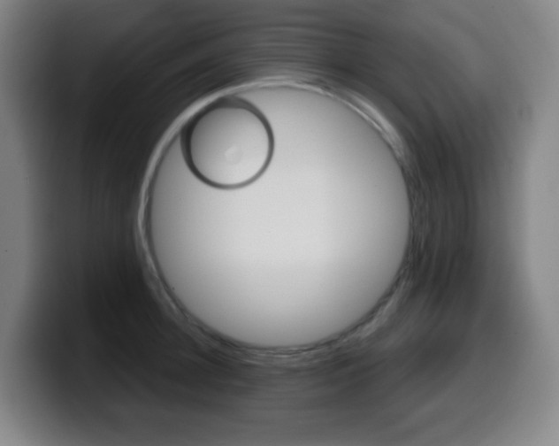 X0000099520948200805151030