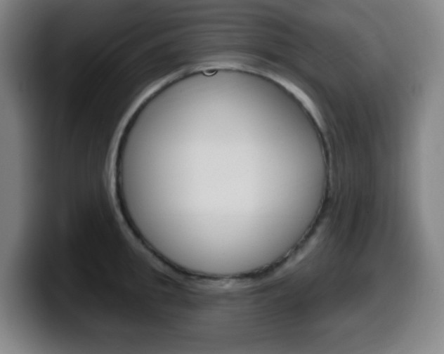 X0000099520949200805151030
