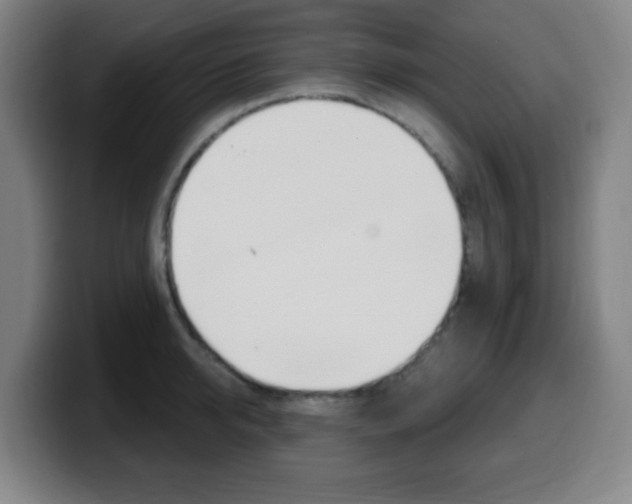 X0000099520950200805151030