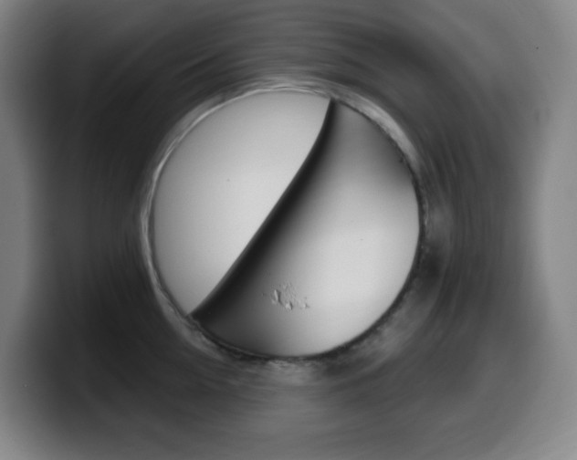 X0000099520954200805151030