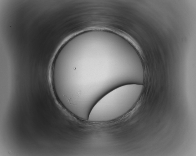X0000099520958200805151030