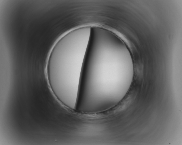 X0000099520959200805151030