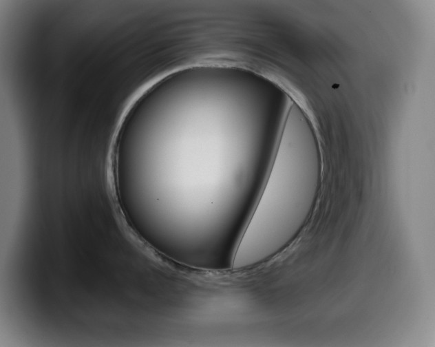 X0000099520960200805151030