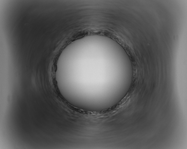 X0000099520961200805151029