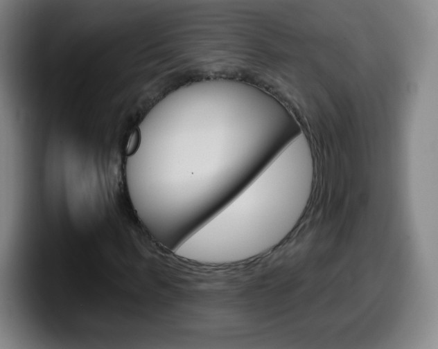 X0000099520963200805151029