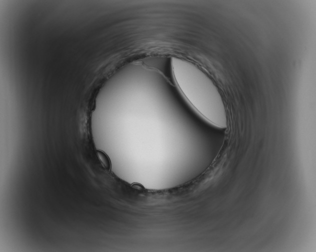 X0000099520964200805151029