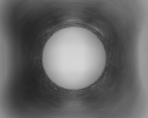 X0000099520965200805151029
