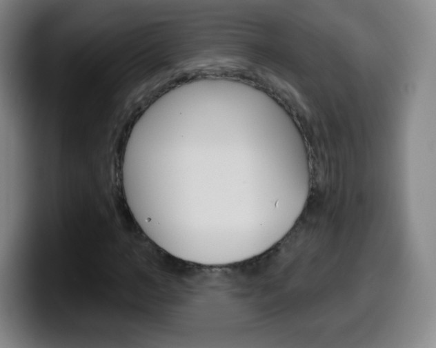 X0000099520966200805151029