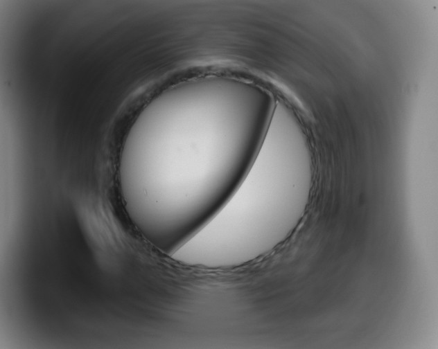 X0000099520967200805151029