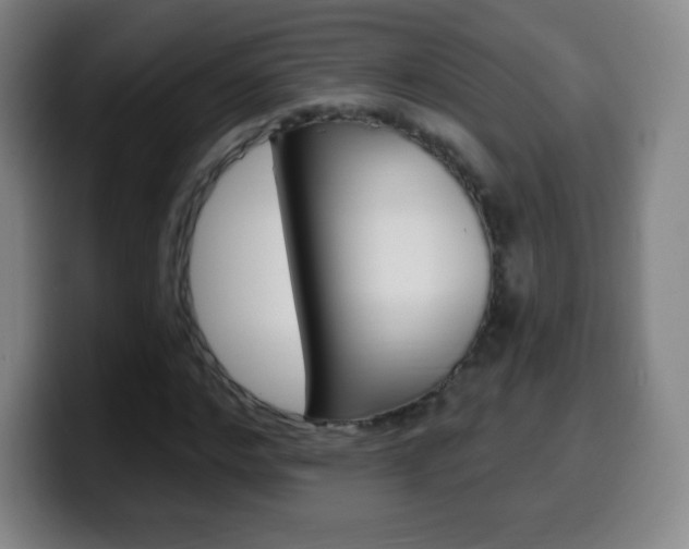 X0000099520968200805151029