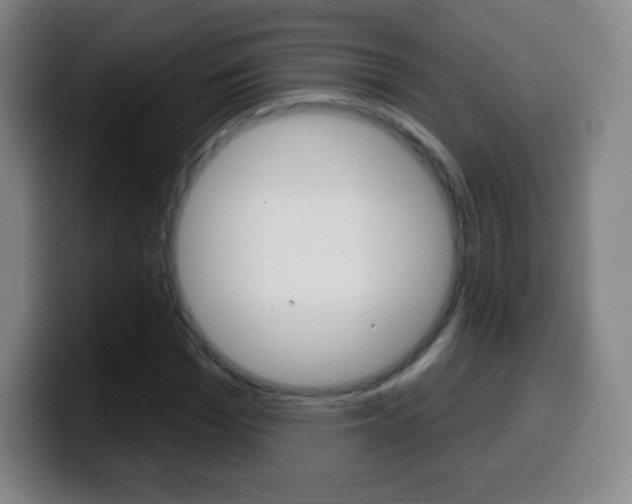 X0000099520969200805151029