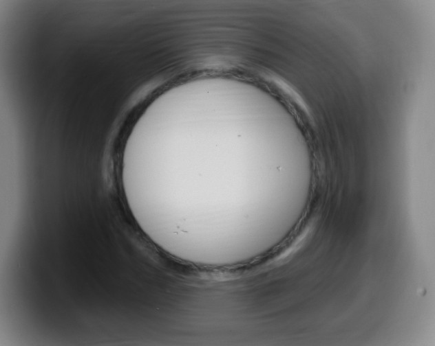 X0000099520970200805151029