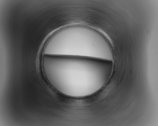 X0000099520975200805151029