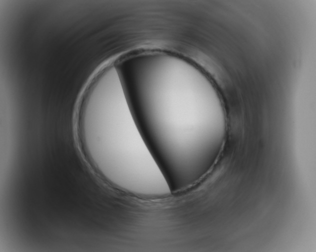 X0000099520976200805151029